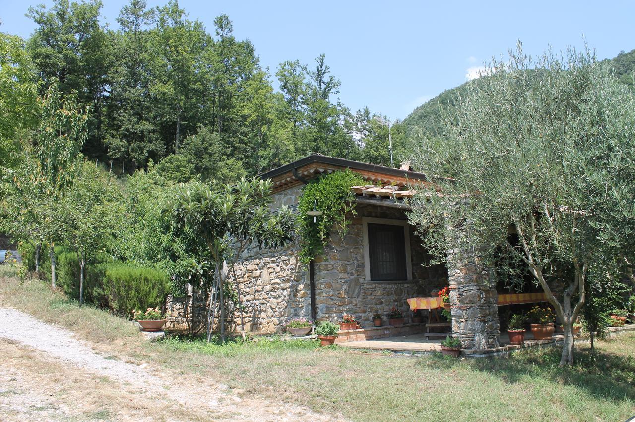 Case Vacanza S. Nicola Viggianello Εξωτερικό φωτογραφία